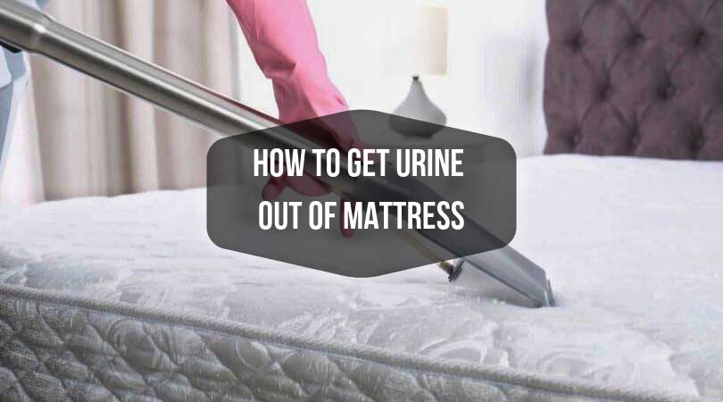 How to get urine out of mattress